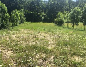 , 1100m2 on Floresti