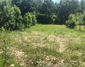 Telek eladó on Floresti