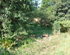 Ház 11 szobák eladó on Cluj-napoca, Zóna Centru