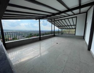 Maison 4 chambres à louer dans Cluj-napoca, zone Borhanci