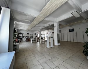 Imobil multifunctional 4800mp amplasat pe teren 4000mp, Marasti 