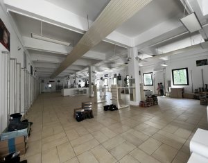 Imobil multifunctional 4800mp amplasat pe teren 4000mp, Marasti 