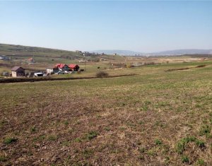 , 17100m2 on Cluj-napoca, Zóna Sopor