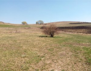 Telek eladó on Cluj-napoca, Zóna Sopor