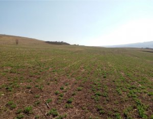 Telek eladó on Cluj-napoca, Zóna Sopor