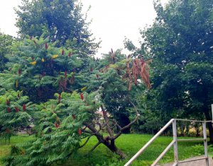 Appartement 2 chambres à vendre dans Floresti