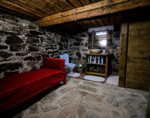 Nyaralók eladó, Zóna Centru