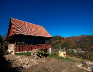 Nyaralók eladó, Zóna Centru