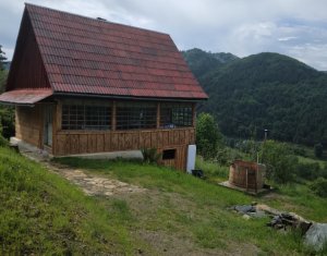 , 50m2, Zóna Centru