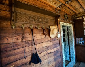 Nyaralók eladó, Zóna Centru