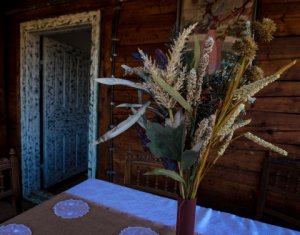 Nyaralók eladó, Zóna Centru