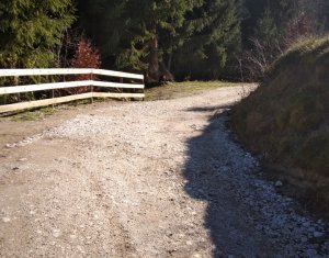 Nyaralók eladó, Zóna Centru