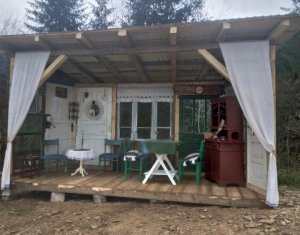 Nyaralók eladó, Zóna Centru