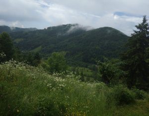 Nyaralók eladó, Zóna Centru