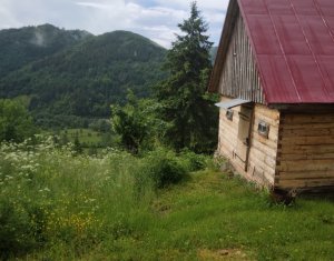 Nyaralók eladó, Zóna Centru