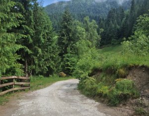 Nyaralók eladó, Zóna Centru