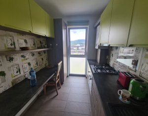 Appartement 2 chambres à louer dans Cluj-napoca