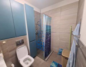 Appartement 2 chambres à louer dans Cluj-napoca