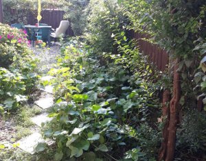 Maison 4 chambres à vendre dans Floresti