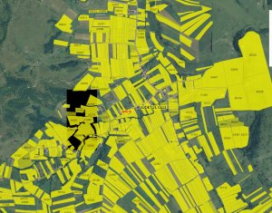 Terrain à vendre dans Corusu