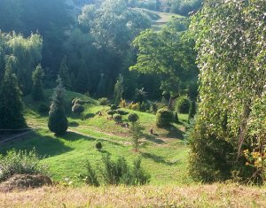 Terrain à vendre dans Cluj-napoca, zone Becas