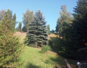 Terrain à vendre dans Cluj-napoca, zone Becas