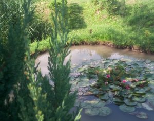 Terrain à vendre dans Cluj-napoca, zone Becas