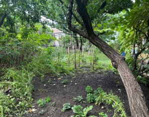 Terrain à vendre dans Cluj-napoca, zone Andrei Muresanu