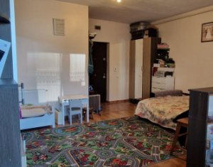 Appartement 2 chambres à vendre dans Cluj-napoca