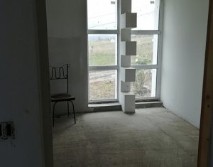 Maison 4 chambres à vendre dans Cluj-napoca, zone Iris