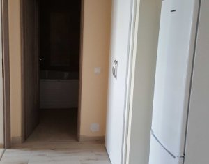 Appartement 2 chambres à vendre dans Cluj-napoca, zone Intre Lacuri