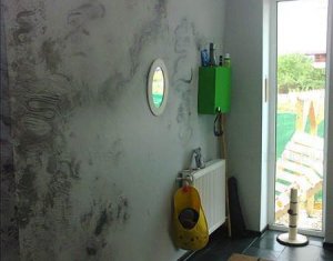 Maison 5 chambres à vendre dans Floresti