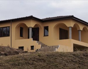 , 250m2 dans Floresti