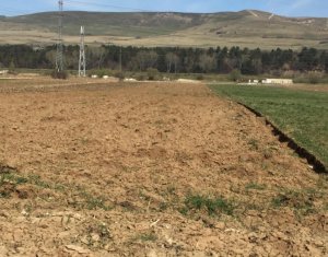 Terrain à vendre dans Floresti