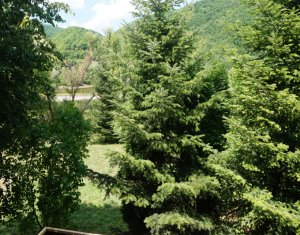 Nyaralók eladó on Tarnita