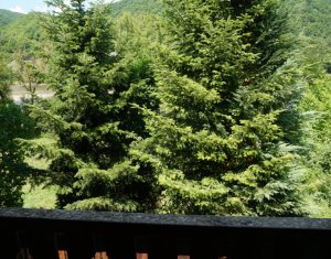 Nyaralók eladó on Tarnita