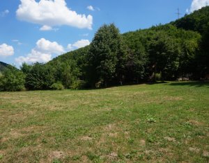 Nyaralók eladó on Tarnita