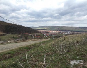 , 1200m2 on Floresti