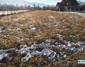 Telek eladó on Floresti