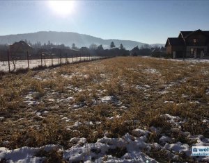Telek eladó on Floresti