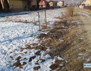 Telek eladó on Floresti