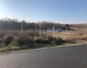 , 1577m2 on Luna De Sus