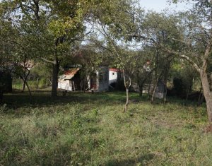 Ház 1 szobák eladó on Vlaha