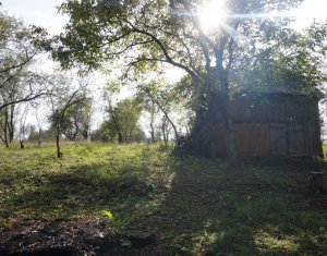 Ház 1 szobák eladó on Vlaha