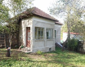 Ház 1 szobák eladó on Vlaha