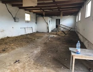 Telek eladó on Capusu Mare