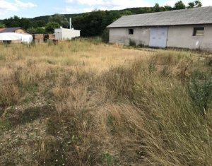 Telek eladó on Capusu Mare