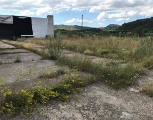 Telek eladó on Capusu Mare