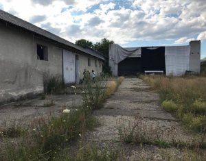 Telek eladó on Capusu Mare