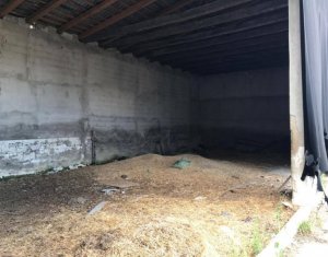 Telek eladó on Capusu Mare